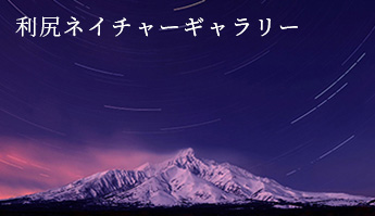 利尻ネイチャーギャラリー