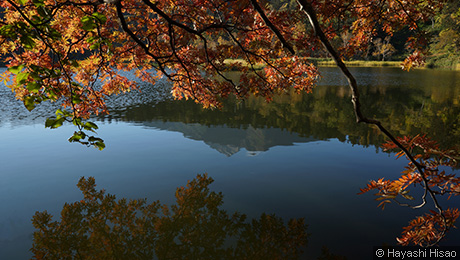 沼(紅葉)