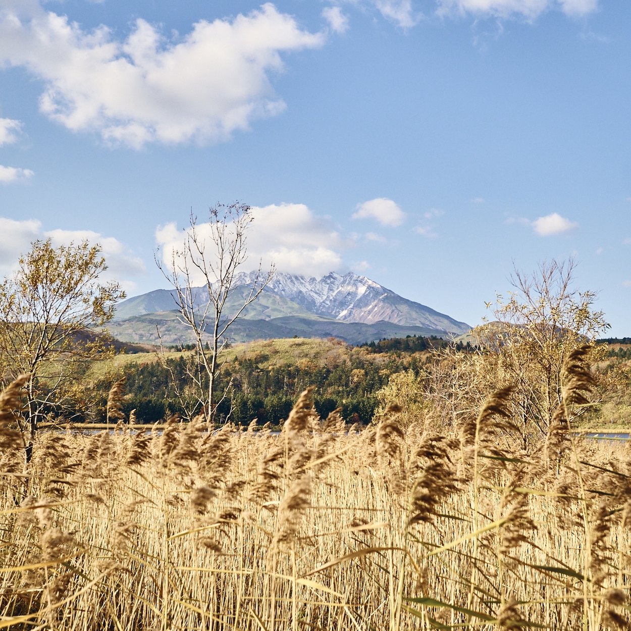 利尻島の風景