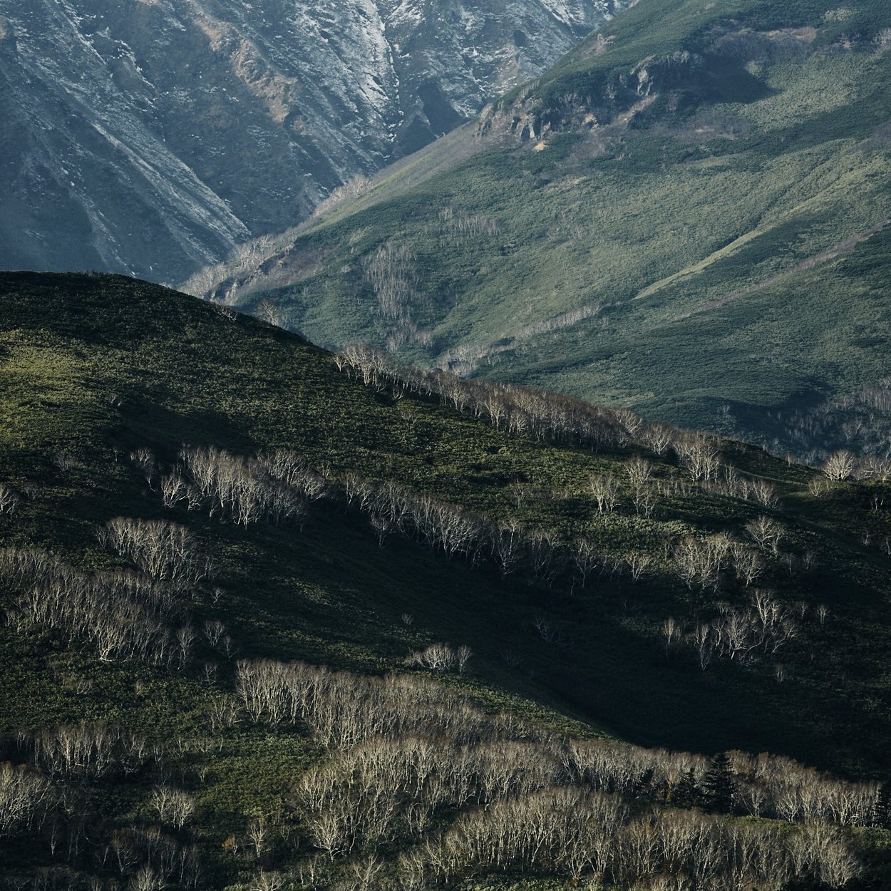 利尻島の風景